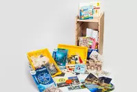 Учебно-методический набор для проектной деятельности в ДОО №1–ИТ (архитектура, мосты, простые механизмы) - fgospostavki.ru - Зеленогорск