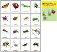 Раздаточные карточки "Насекомые" - fgospostavki.ru - Зеленогорск