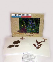 Гербарий "Дикорастущие растения" (28 видов) - fgospostavki.ru - Зеленогорск