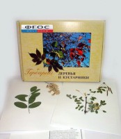 Гербарий "Деревья и кустарники" (20 видов) - fgospostavki.ru - Зеленогорск