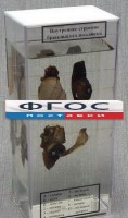 Влажный препарат "Внутреннее строение брюхоногого моллюска" - fgospostavki.ru - Зеленогорск