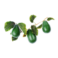 Ветка муляжей "Авокадо" - fgospostavki.ru - Зеленогорск