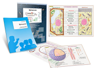 Комплект кодотранспарантов "Цитология" - fgospostavki.ru - Зеленогорск