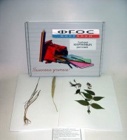 Гербарий "Кормовые растения" (20 видов) - fgospostavki.ru - Зеленогорск