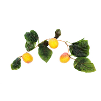 Ветка муляжей "Абрикосы" - fgospostavki.ru - Зеленогорск