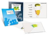 Комплект кодотранспарантов "Корень. Стебель. Лист (Внутреннее строение)" - fgospostavki.ru - Зеленогорск