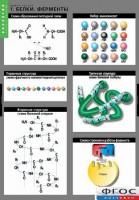 Комплект таблиц. Биология. Химия клетки. - fgospostavki.ru - Зеленогорск