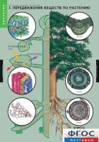 Комплект таблиц. Биология. Растение – живой организм. - fgospostavki.ru - Зеленогорск