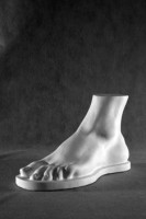 Стопа Геракла (гипс) - fgospostavki.ru - Зеленогорск