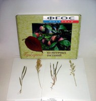 Гербарий "Культурные растения" (28 видов) - fgospostavki.ru - Зеленогорск