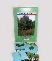 Гербарий "Растительные сообщества" (9 видов х 5 планшетов) - fgospostavki.ru - Зеленогорск