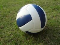 Мяч волейбольный звенящий - fgospostavki.ru - Зеленогорск