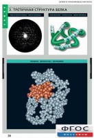 Комплект таблиц. Химия. Белки и нуклеиновые кислоты. - fgospostavki.ru - Зеленогорск