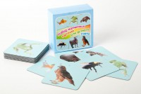 Набор магнитных карточек "Устный счет" (фон голубой) - fgospostavki.ru - Зеленогорск