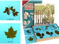 Гербарий "Растительные сообщества" - fgospostavki.ru - Зеленогорск