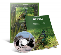 Электронное наглядное пособие «Птицы» - fgospostavki.ru - Зеленогорск