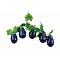 Ветка муляжей "Баклажаны" - fgospostavki.ru - Зеленогорск