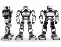 Образовательная платформа для обучения программирования гуманоидный робот Yanshee - fgospostavki.ru - Зеленогорск