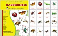 Демонстрационные карточки "Насекомые" - fgospostavki.ru - Зеленогорск