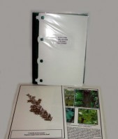 Гербарий "Эволюция высших растений" (ламинированный) - fgospostavki.ru - Зеленогорск