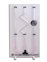 Сосуды сообщающиеся (вариант 2) - fgospostavki.ru - Зеленогорск