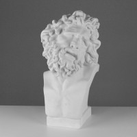 Бюст Лаокоона (гипс) - fgospostavki.ru - Зеленогорск