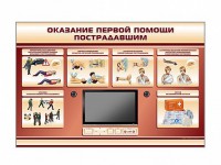 Многофункциональный интерактивный стенд-тренажер "Оказание первой помощи пострадавшим" для учащихся общеобразовательных учреждений - fgospostavki.ru - Зеленогорск
