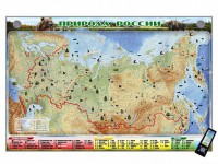 Электронно-информационный (маркерный) стенд "Природа России" адаптивный, с сенсорным пультом управления и планшетом со шрифтом Брайля - fgospostavki.ru - Зеленогорск