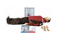 "Максим III-01" тренажер сердечно-легочной и мозговой реанимации - fgospostavki.ru - Зеленогорск