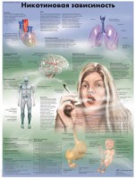 Плакат "Никотиновая зависимость" ламинированный - fgospostavki.ru - Зеленогорск