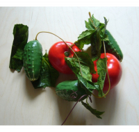 Ветка муляжей "Ассорти" (овощи) - fgospostavki.ru - Зеленогорск