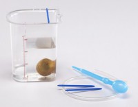 Сосуд Архимеда - fgospostavki.ru - Зеленогорск