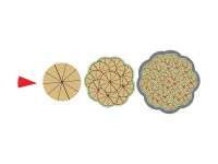 Магнитная математика Наталии Пятибратовой (Числовые фигуры) - fgospostavki.ru - Зеленогорск