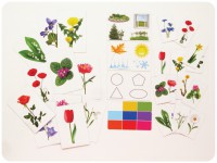 Набор магнитных карточек "Загадки-отрицания". Цветы - fgospostavki.ru - Зеленогорск