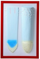 Барельефная модель "Клеточное строение корня" - fgospostavki.ru - Зеленогорск