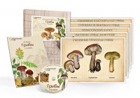 Комбинированное наглядное пособие  «Грибы» - fgospostavki.ru - Зеленогорск
