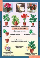 Комплект таблиц. Окружающий мир 1 класс. - fgospostavki.ru - Зеленогорск