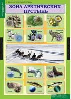 Комплект таблиц. Окружающий мир 4 класс. - fgospostavki.ru - Зеленогорск