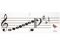 Настольное мягкое магнитно-маркерное поле с нотным станом - fgospostavki.ru - Зеленогорск