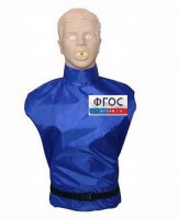 "Александр-02" тренажер-манекен взрослого пострадавшего для отработки приемов сердечно-легочной реанимации (голова, торс) - fgospostavki.ru - Зеленогорск