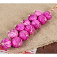 Муляжи "Связка лука" - fgospostavki.ru - Зеленогорск