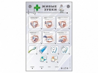 Интерактивный стенд "Живые зубки" - fgospostavki.ru - Зеленогорск