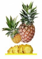 Комплект карточек "Запоминай, играй, считай" - Фрукты - fgospostavki.ru - Зеленогорск