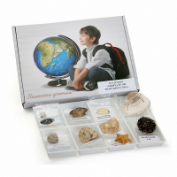 Коллекция "Обитатели морского дна" - fgospostavki.ru - Зеленогорск