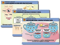 Комплект таблиц "Русский язык. Орфография" (14 таблиц, формат А1, ламинированные) - fgospostavki.ru - Зеленогорск
