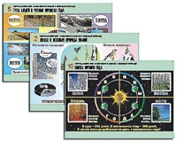 Комплект таблиц "Окружающий мир. Изменения в живой и неживой природе" (10 таблиц, А1, ламинированные) - fgospostavki.ru - Зеленогорск