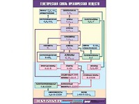 Таблица демонстрационная "Генетическая связь органических веществ" (винил 100x140) - fgospostavki.ru - Зеленогорск