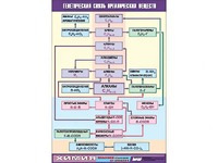 Таблица демонстрационная "Генетическая связь органических веществ" (винил 70x100) - fgospostavki.ru - Зеленогорск