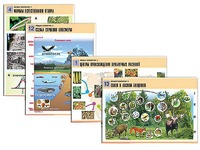 Комплект таблиц по биологии демонстрационных "Общая биология 2" (14 таблиц, формат А1, ламинированные) - fgospostavki.ru - Зеленогорск