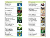 Комплект карточек (10) "Обучающий калейдоскоп. Природа" - fgospostavki.ru - Зеленогорск